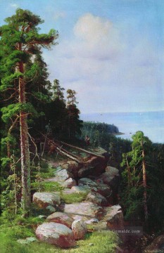 Ivan Ivanovich Shishkin Werke - über dem Damm 1887 klassische Landschaft Ivan Ivanovich